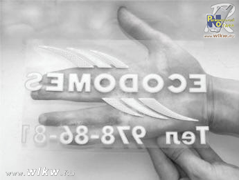 автоэмблемана монтажной пленке. Вид с обратной стороны